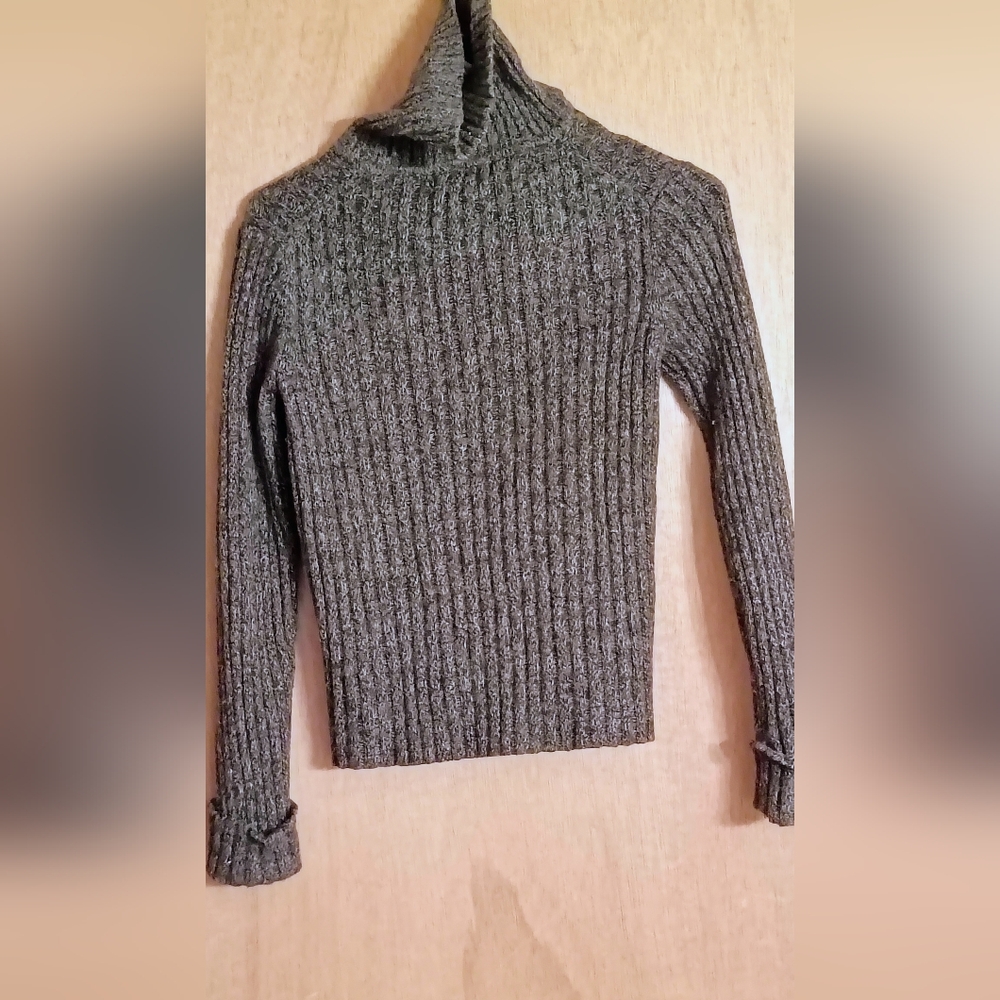 Eddie Bauer Turtleneck Sweater